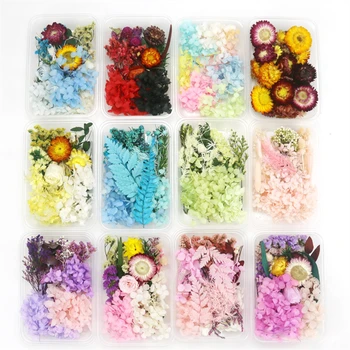 1 Cutie de Flori Uscate Naturale, Plante Specimen DIY Apăsarea Materiale Romantic Cadou de Accesorii de Ziua Îndrăgostiților Festivalul de Decor Acasă